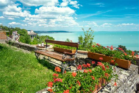 balato8|balaton obrazy.